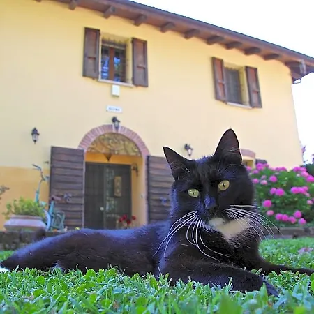 Casale La Decima Budrio (Bologna)