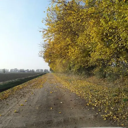 Casale La Decima Bed and Breakfast