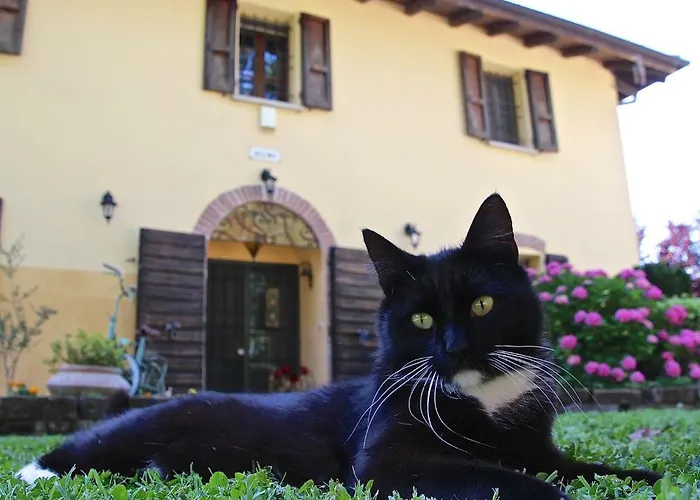 Casale La Decima Oda ve Kahvaltı